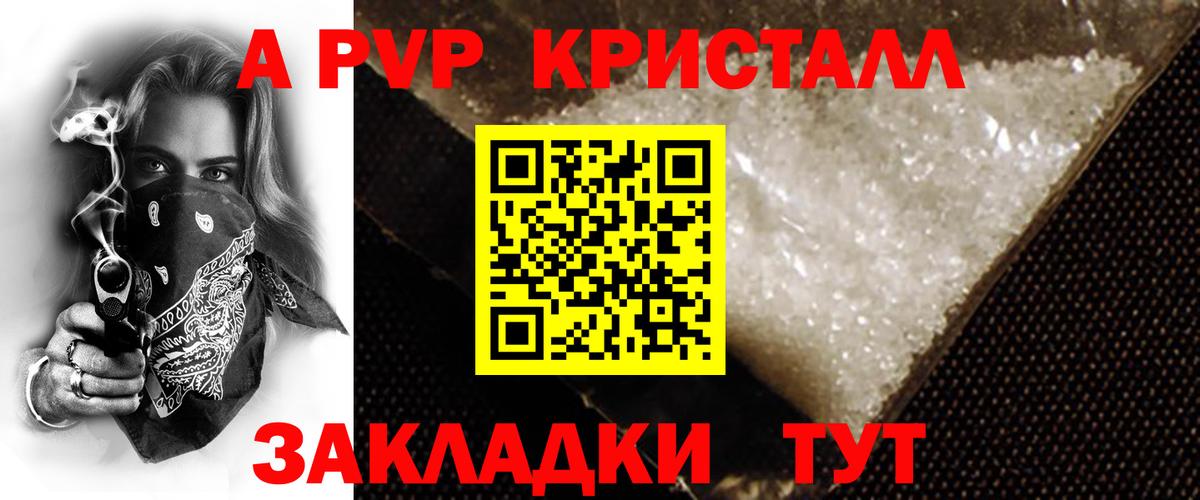 A PVP СК Саранск