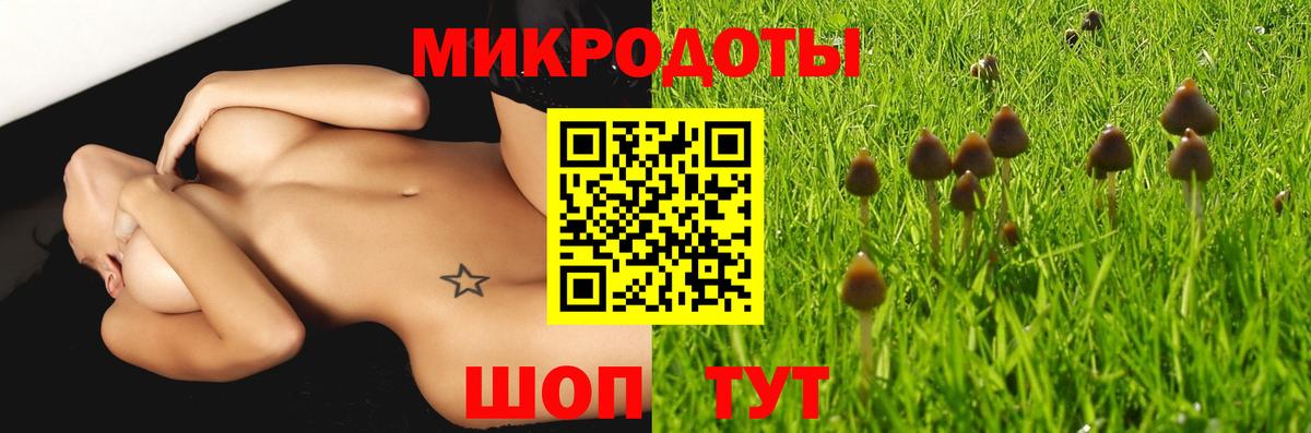 Галлюциногенные грибы Psilocybine cubensis Саранск